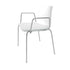 Catifa 46 0251 Armchair Bicolored Frame Chrome